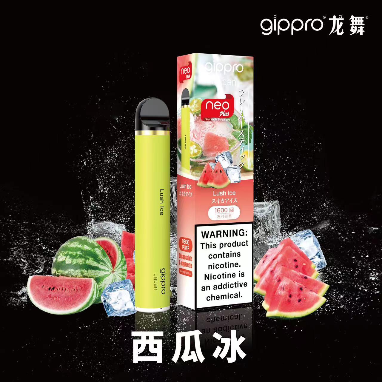 Gippro neo Plus4
